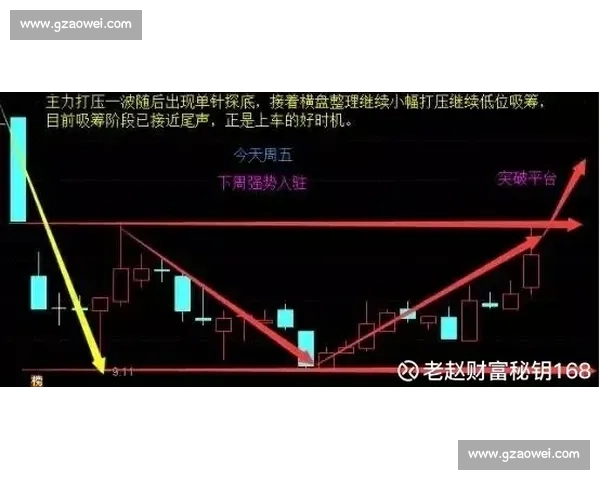 杨健平vs日本赛场全景回顾与技术对抗深度解析及胜负关键因素分析探讨 杨健平vs日本赛场全景回顾与技术对抗深度解析及胜负关键因素分析探讨