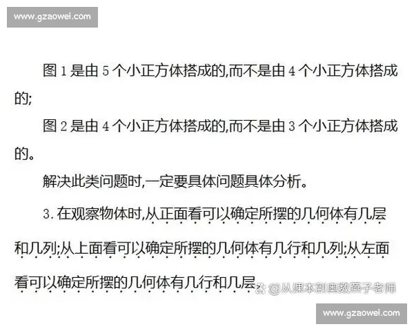清水与大为多维对比解析:实力风格与发展路径的全面观察